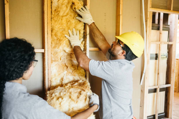 Best Insulation Replacement Services  in Bangor, PA